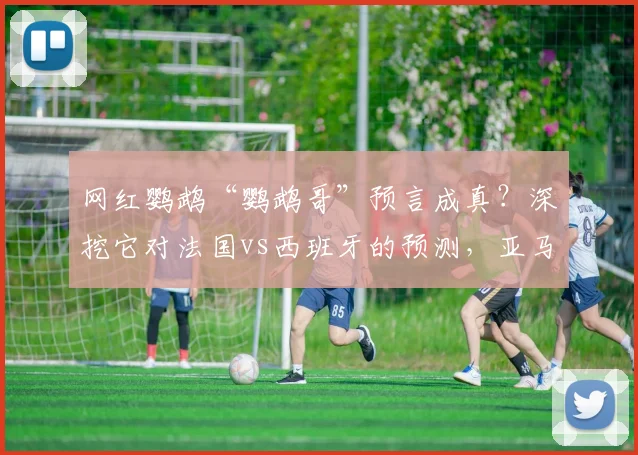 网红鹦鹉“鹦鹉哥”预言成真？深挖它对法国vs西班牙的预测，亚马尔表现堪称惊艳，西班牙真能挺进2026决赛吗？